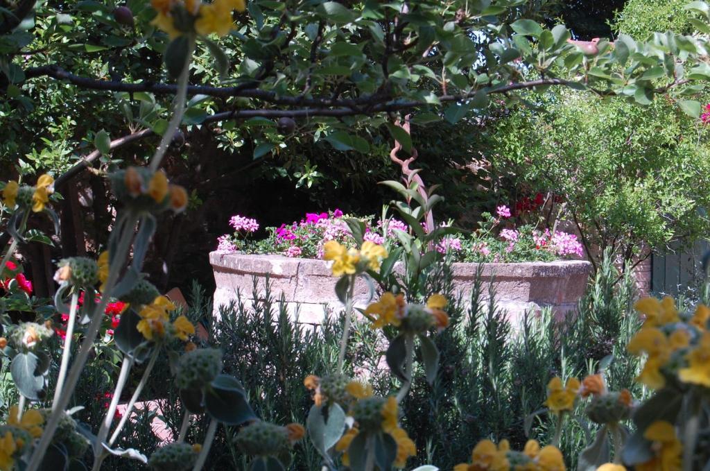Il Giardino Segreto Hotell Pienza Eksteriør bilde